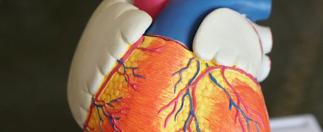 The Future of Diabetes Research